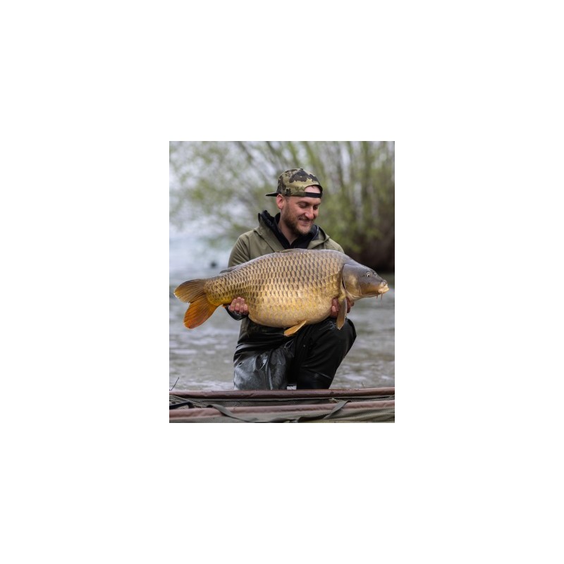 KORE SNAPBACK KORDA
