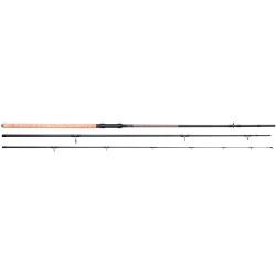 CANNE TTB BOTTOM STICK 3.00M 5-30G TROUT MASTER