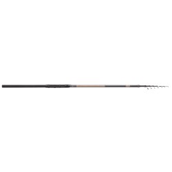 CANNE TM TACTICAL TROUT TELE SBIRO 3.30M 5-20G TROUT MASTER